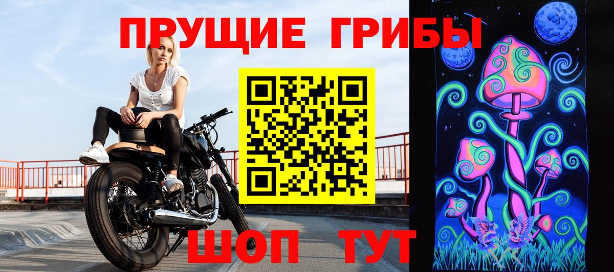 Сосновоборск  Галлюциногенные грибы GOLDEN TEACHER  Вход с VPN 